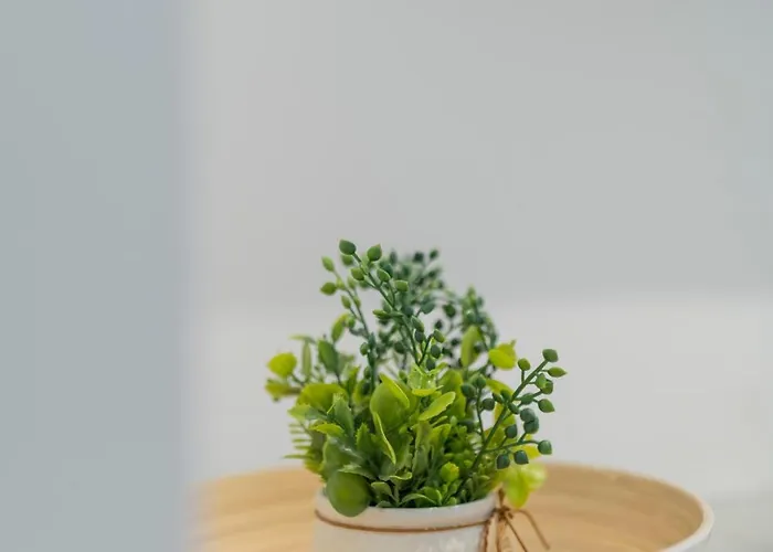 Aurum Πανσιόν